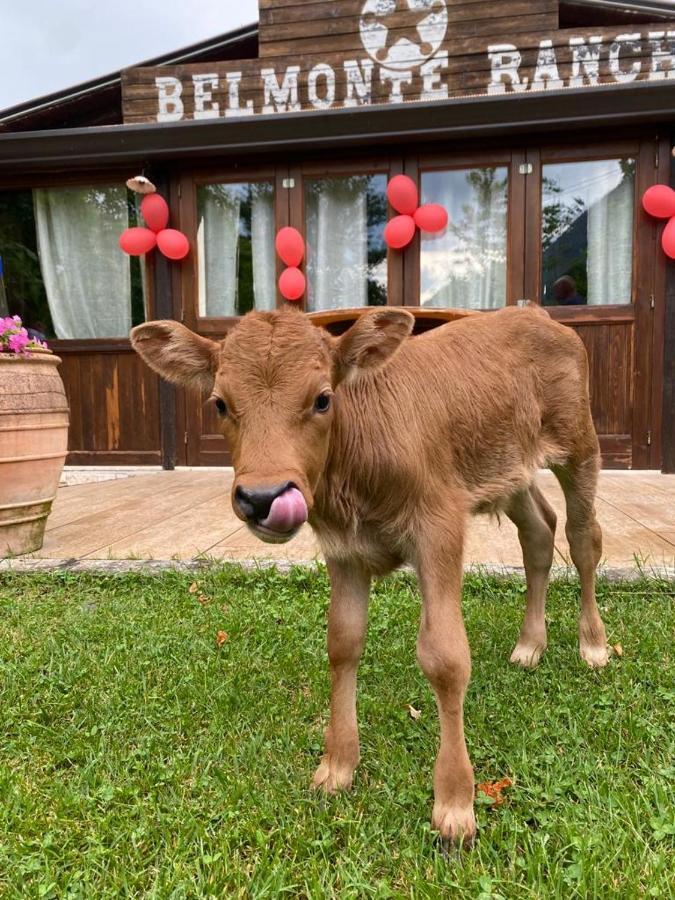 Вилла Belmonte Ranch Belmonte Castello Экстерьер фото